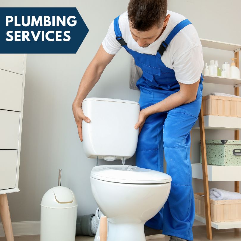 Plumbing Company in Hinsdale, IL